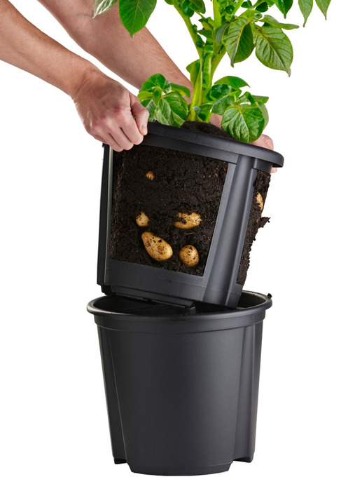 Kartoffelpot - H29,5 x Ø25,5 cm